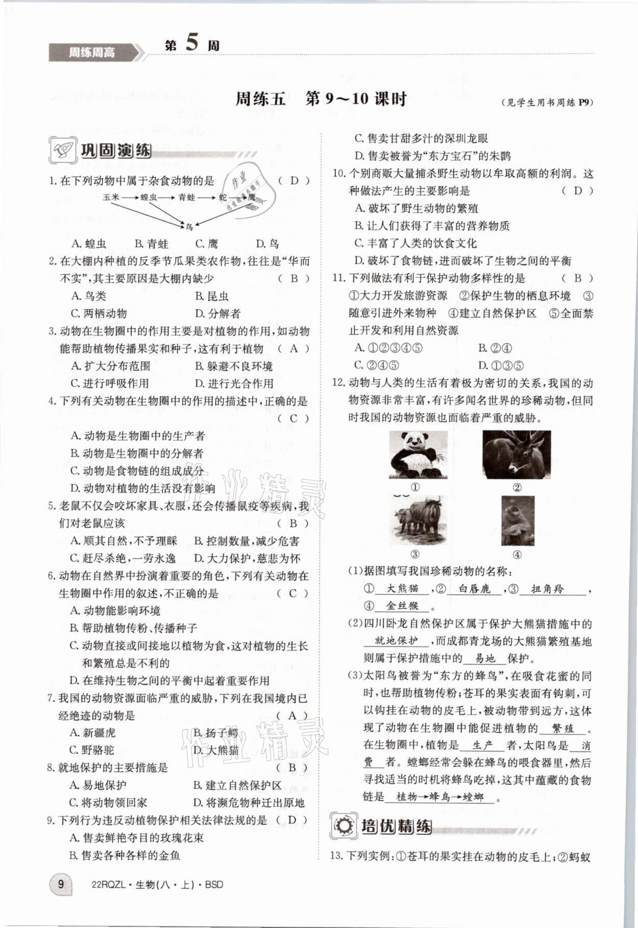 2021年日清周練八年級生物上冊北師大版 參考答案第20頁