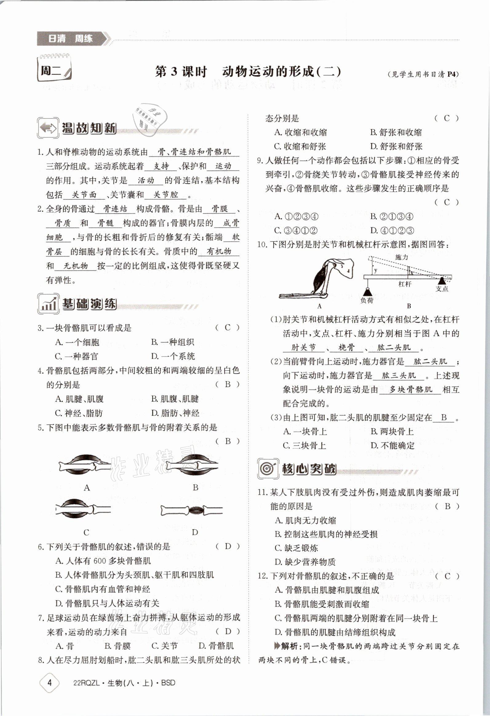 2021年日清周練八年級生物上冊北師大版 參考答案第5頁