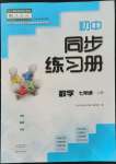 2021年同步練習(xí)冊大象出版社七年級數(shù)學(xué)上冊人教版