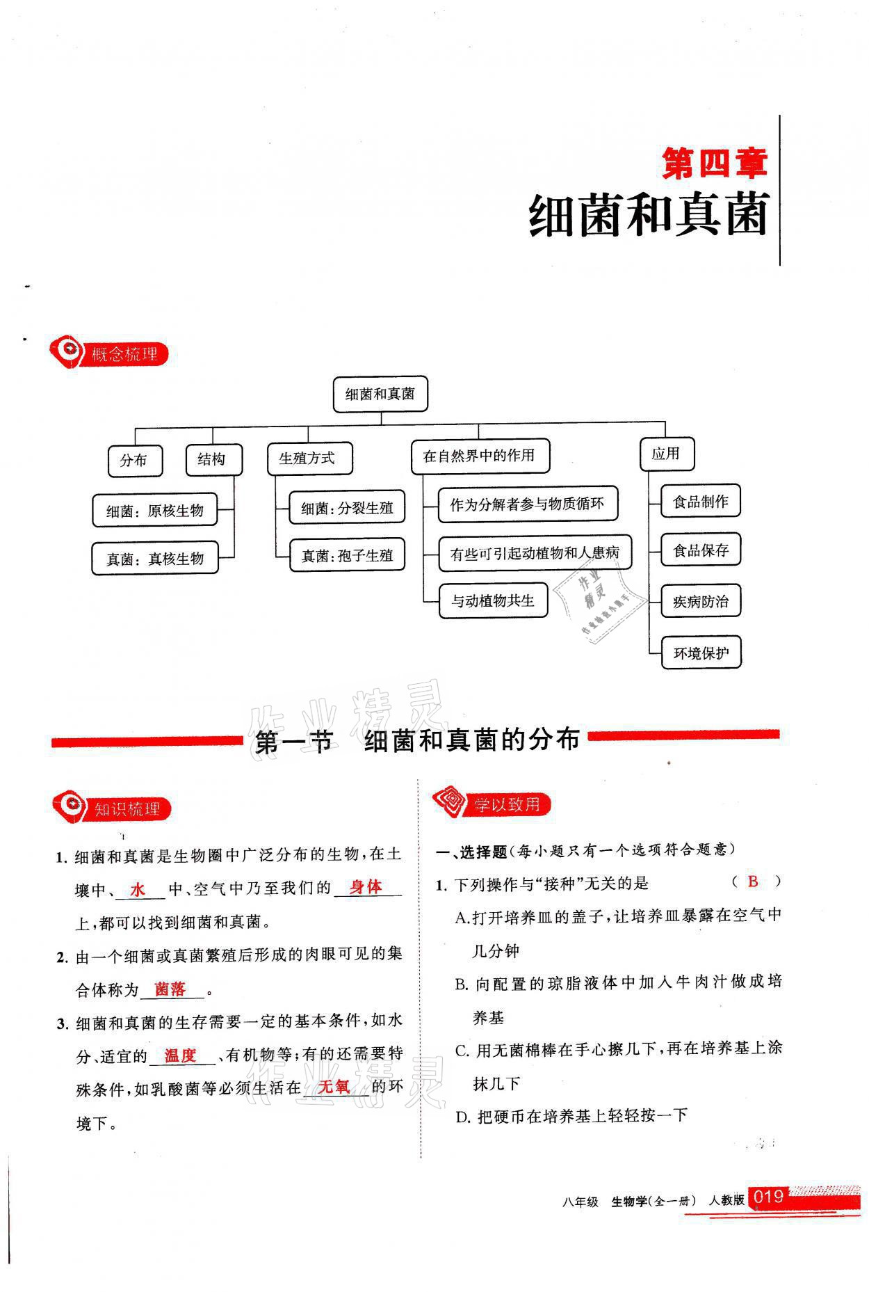 2021年学习之友八年级生物全一册人教版 参考答案第19页