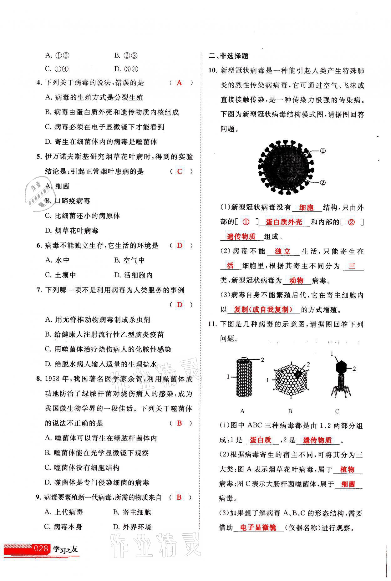 2021年學(xué)習(xí)之友八年級(jí)生物全一冊(cè)人教版 參考答案第28頁