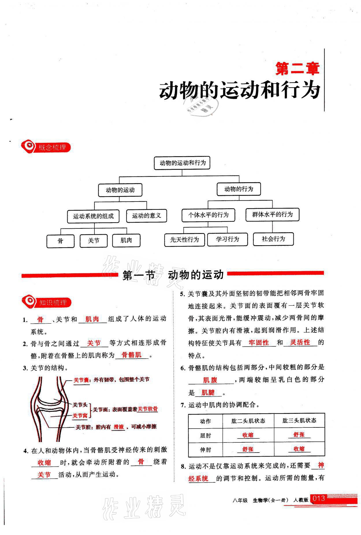 2021年学习之友八年级生物全一册人教版 参考答案第13页