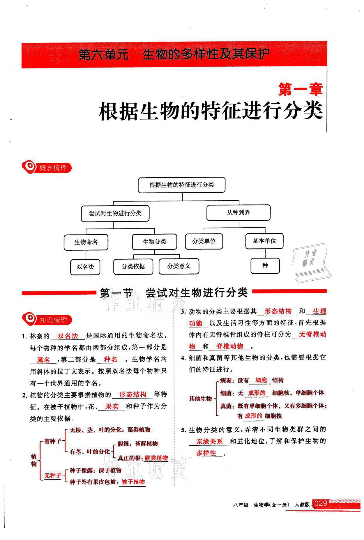 2021年學習之友八年級生物全一冊人教版 參考答案第29頁