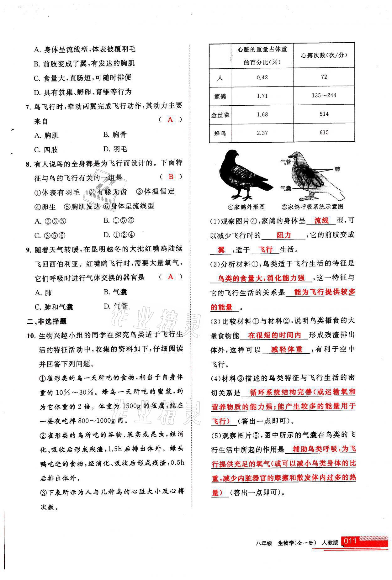 2021年学习之友八年级生物全一册人教版 参考答案第11页