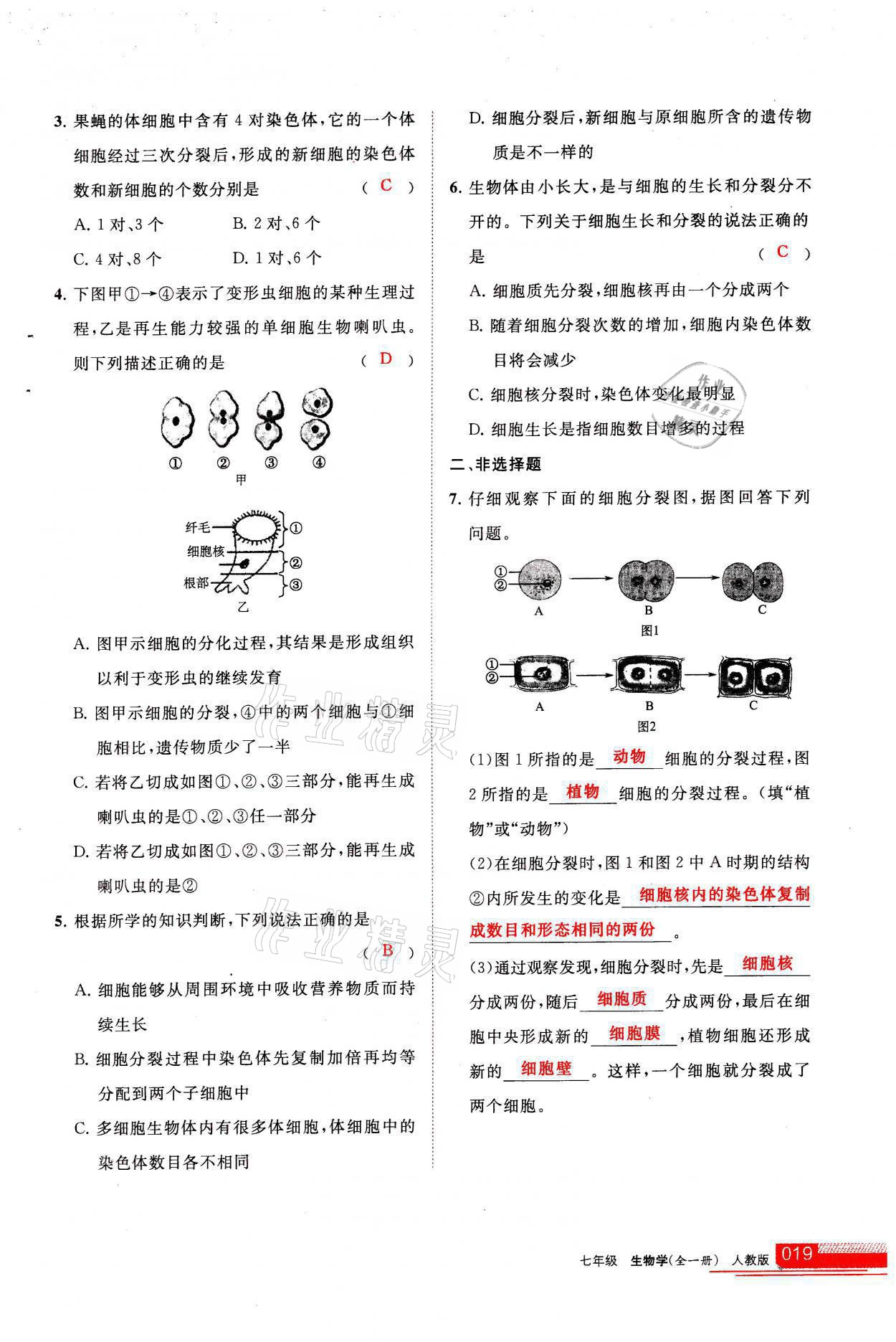 2021年學(xué)習(xí)之友七年級生物全一冊人教版 參考答案第19頁