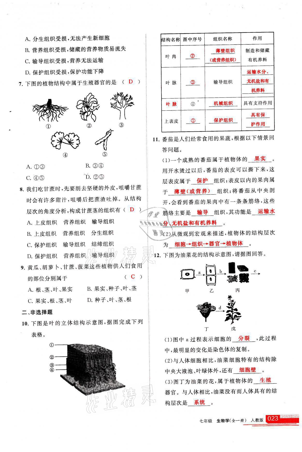 2021年学习之友七年级生物全一册人教版 参考答案第23页