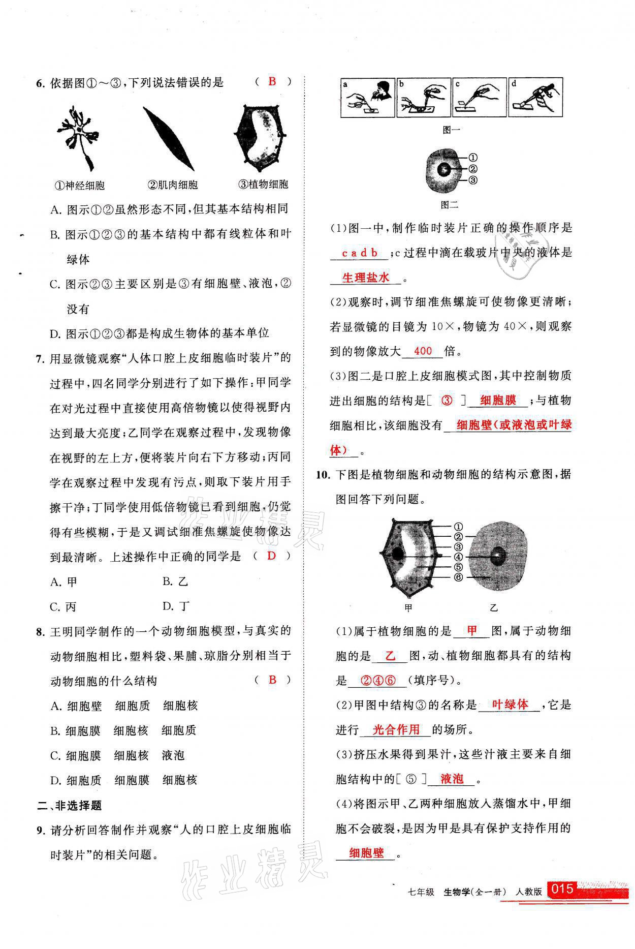 2021年學(xué)習(xí)之友七年級生物全一冊人教版 參考答案第15頁