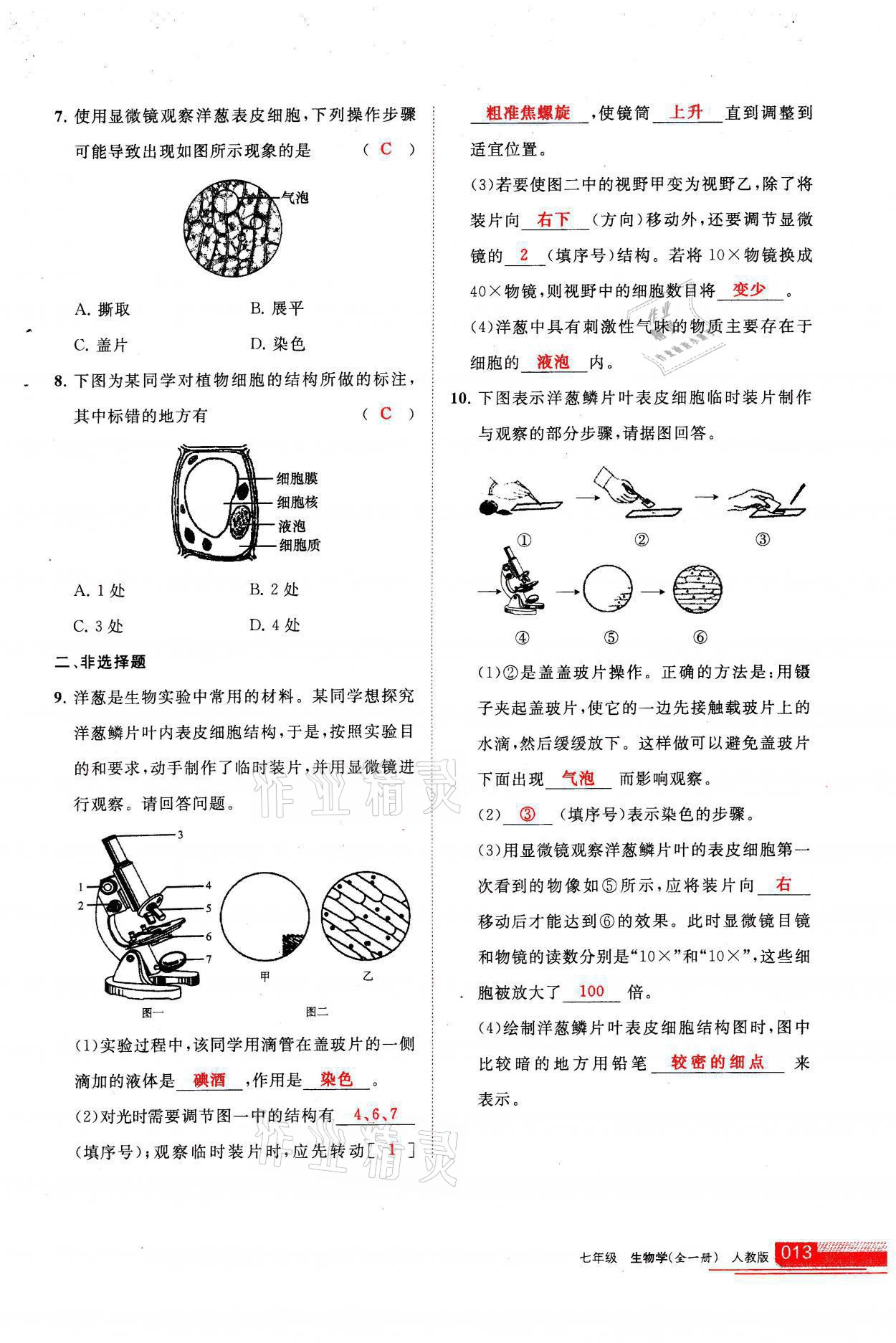 2021年学习之友七年级生物全一册人教版 参考答案第13页