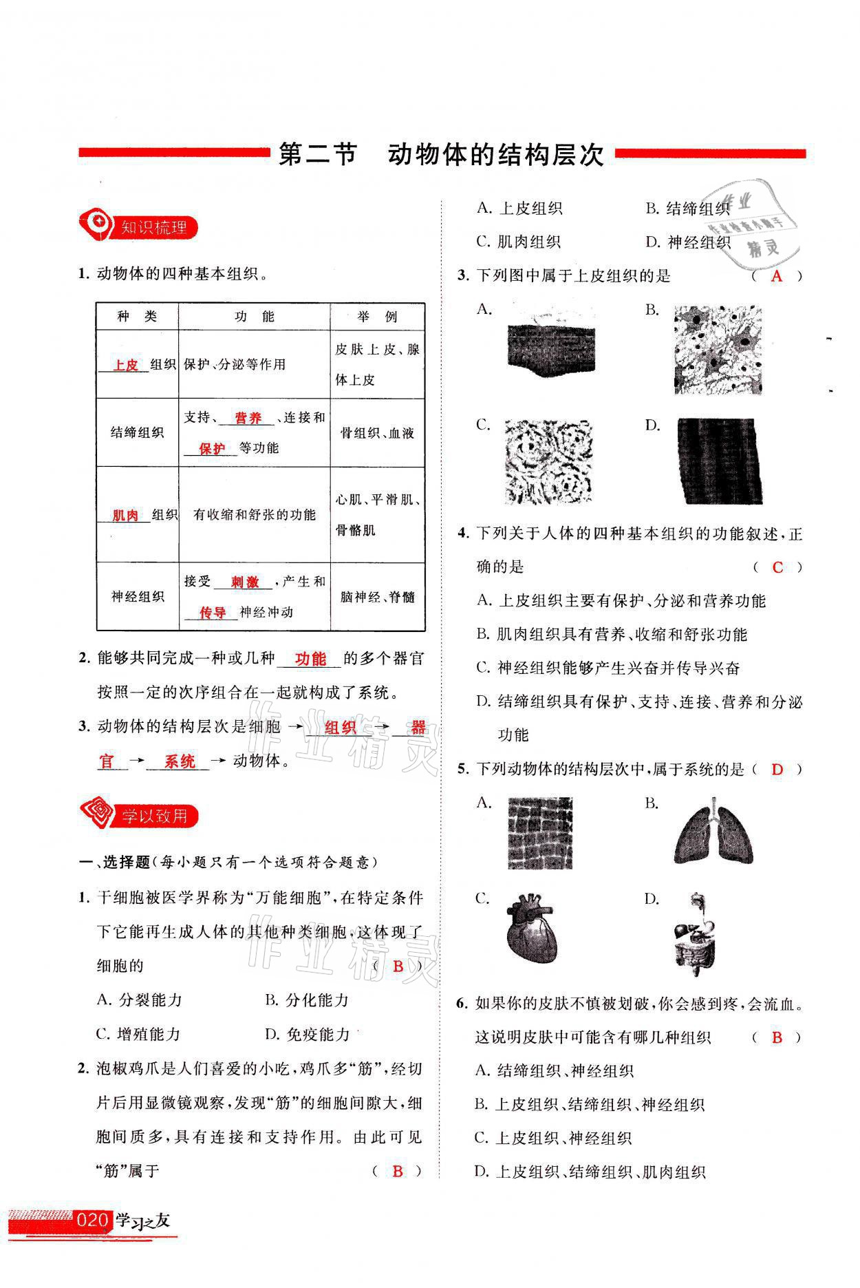 2021年学习之友七年级生物全一册人教版 参考答案第20页