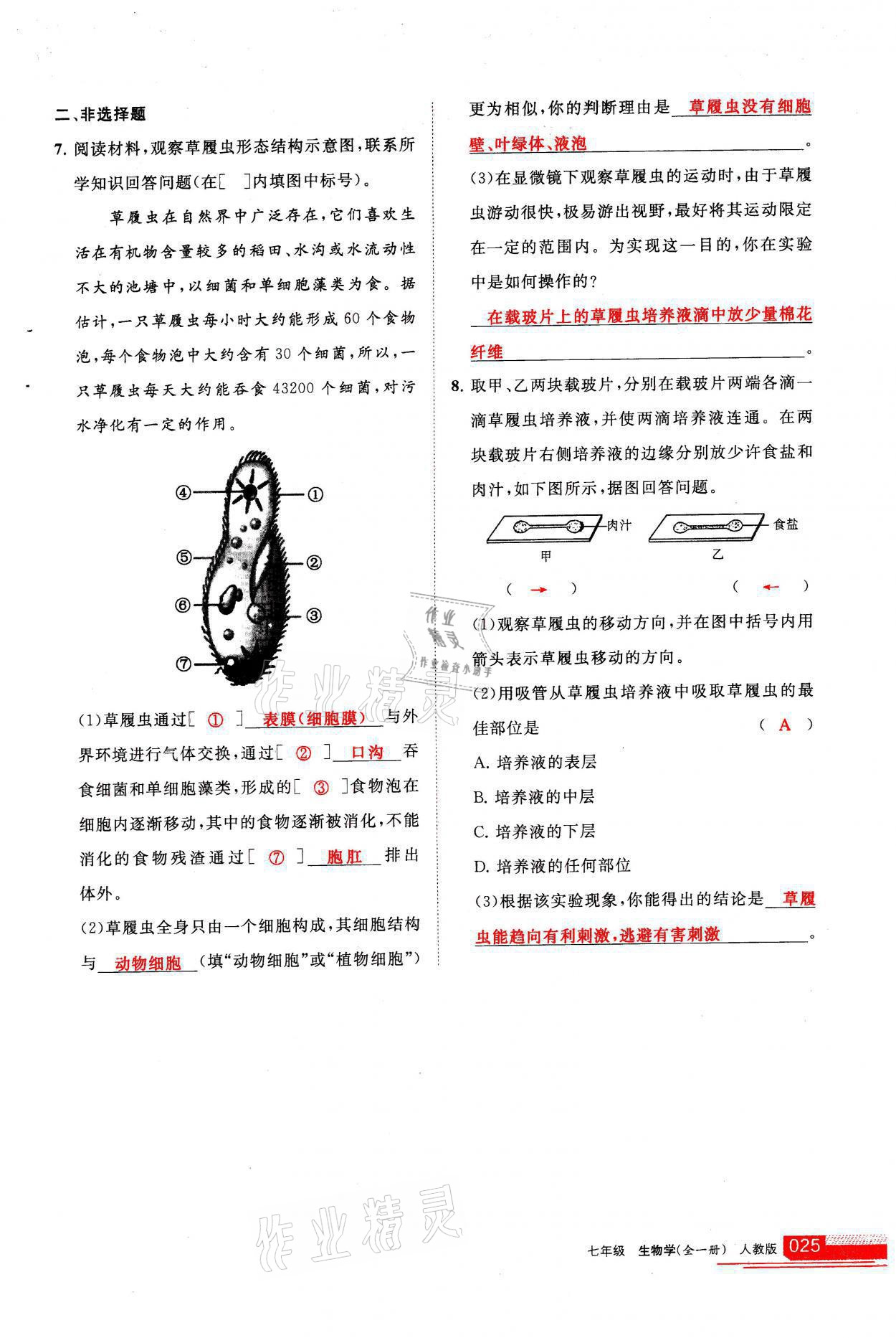 2021年學(xué)習(xí)之友七年級生物全一冊人教版 參考答案第25頁