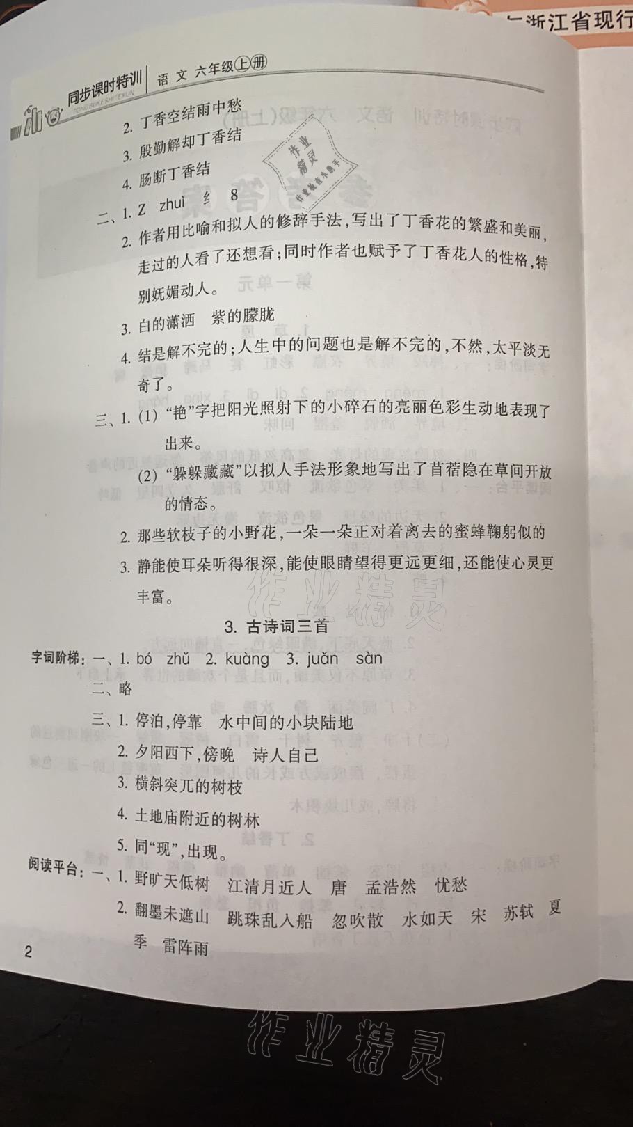 2021年浙江新课程三维目标测评课时特训六年级语文上册人教版 参考答案第2页