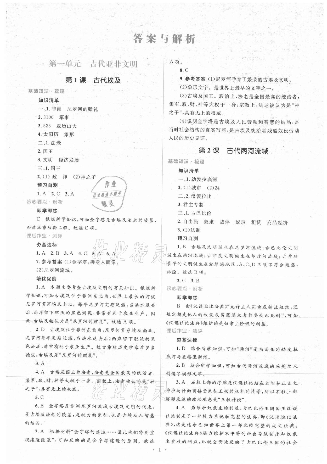 2021年人教金学典同步解析与测评学考练九年级历史上册人教版 第1页