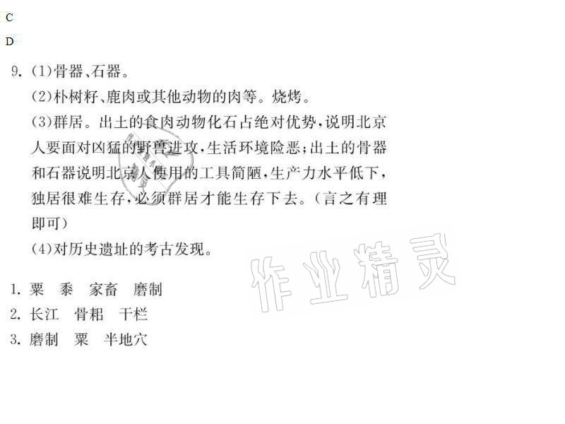 2021年同步精練七年級(jí)歷史上冊(cè)人教版廣東人民出版社 參考答案第3頁(yè)