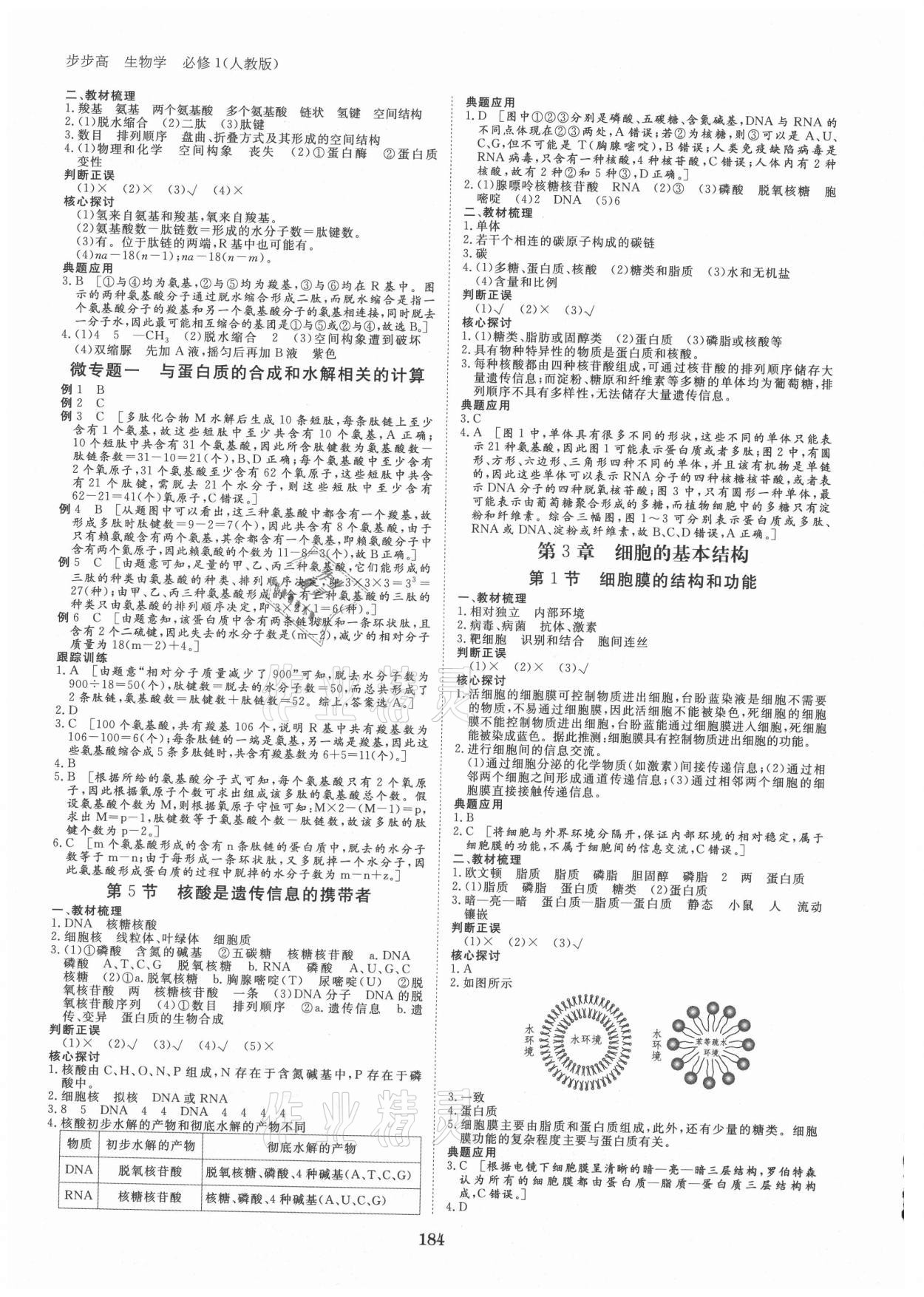 2021年步步高學(xué)習(xí)筆記高中生物必修1人教版 參考答案第3頁