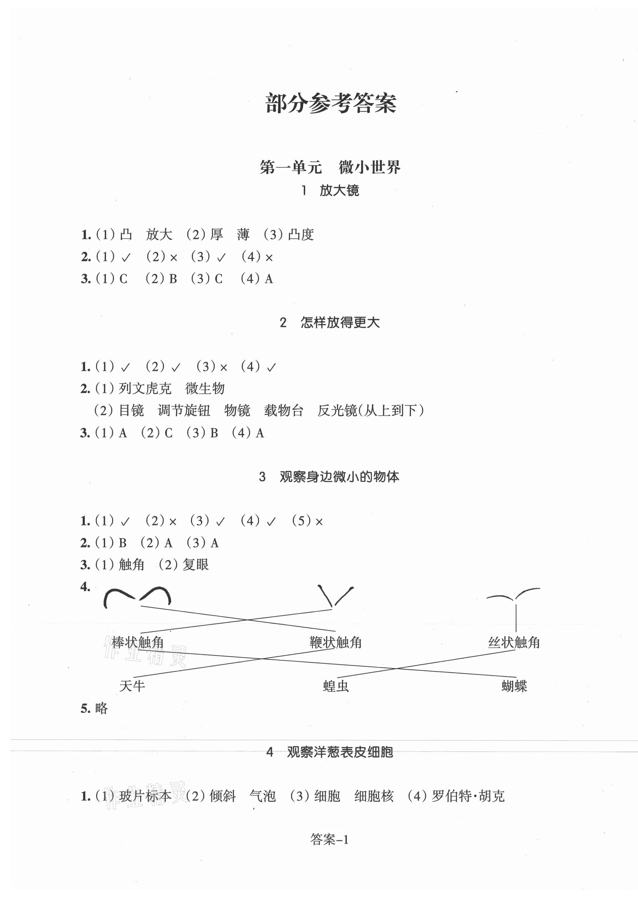 2021年每课一练浙江少年儿童出版社六年级科学上册教科版 参考答案第1页