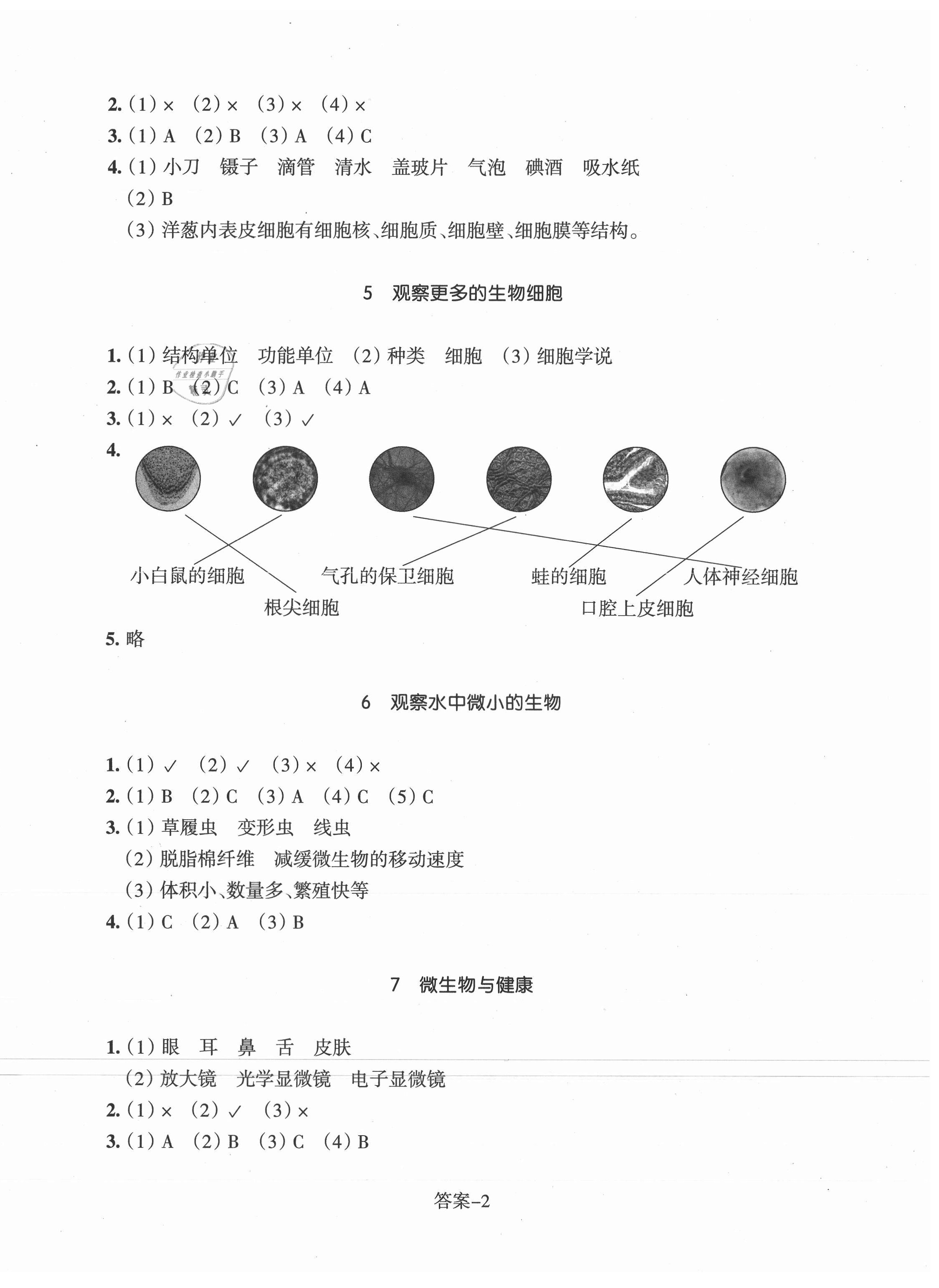 2021年每课一练浙江少年儿童出版社六年级科学上册教科版 参考答案第2页