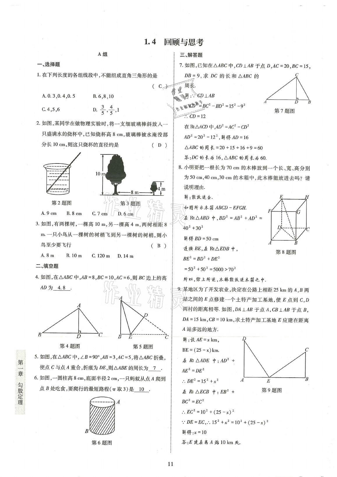 2021年金典訓(xùn)練八年級數(shù)學(xué)上冊北師大版 參考答案第11頁