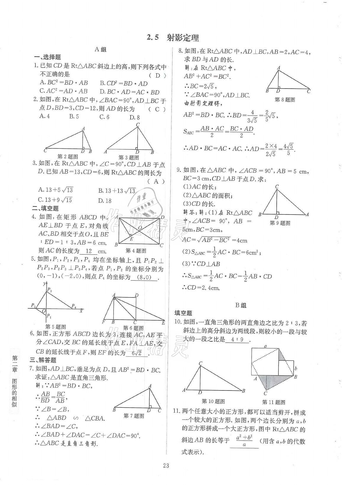 2021年金典训练九年级数学全一册北师大版 参考答案第23页