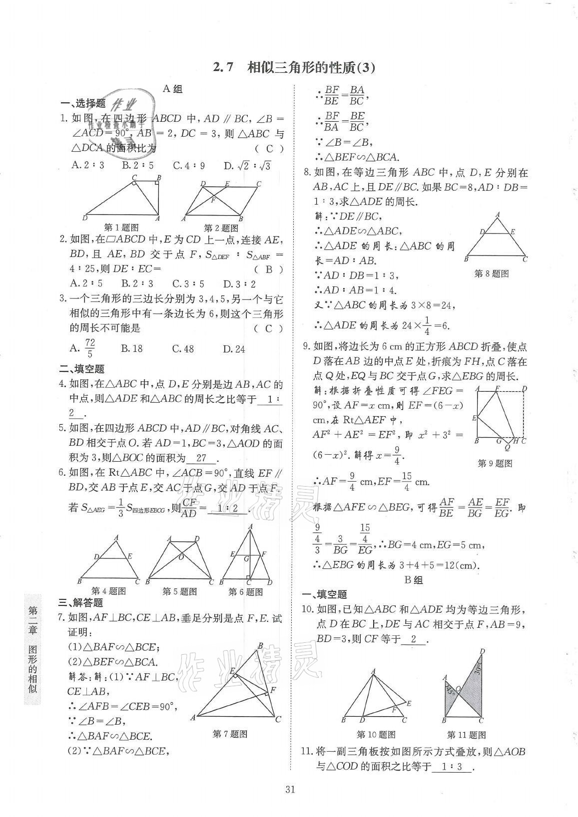 2021年金典訓(xùn)練九年級(jí)數(shù)學(xué)全一冊(cè)北師大版 參考答案第31頁(yè)