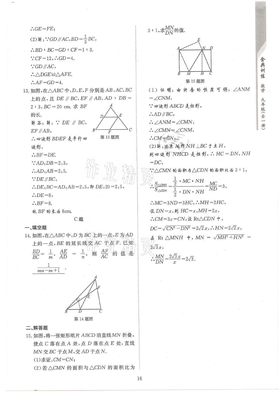 2021年金典训练九年级数学全一册北师大版 参考答案第16页