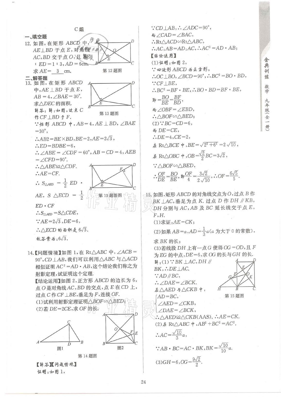 2021年金典训练九年级数学全一册北师大版 参考答案第24页