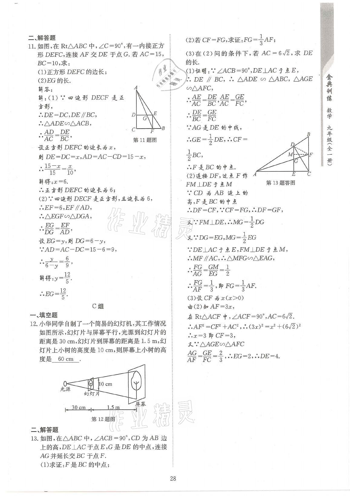 2021年金典訓(xùn)練九年級數(shù)學(xué)全一冊北師大版 參考答案第28頁