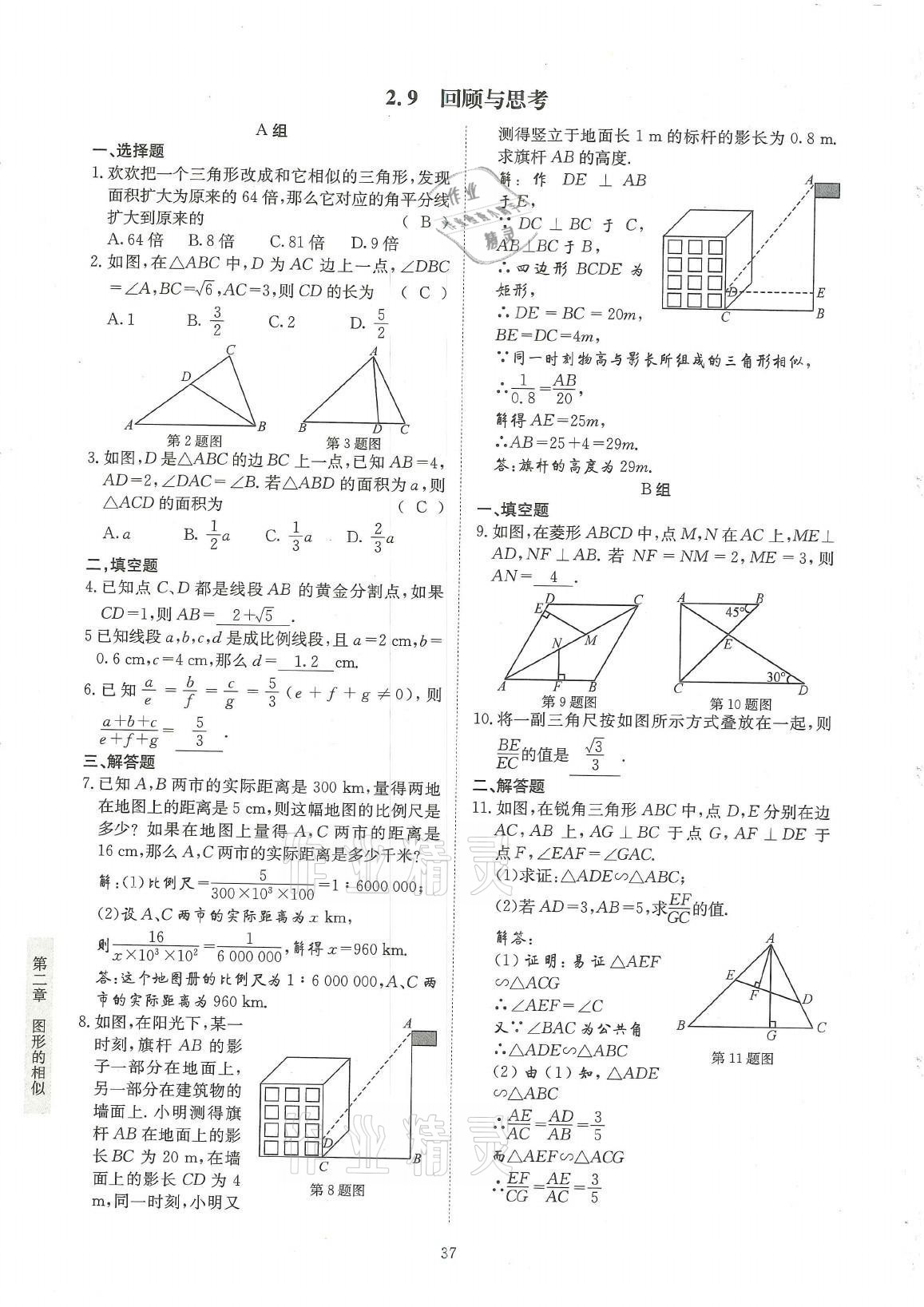 2021年金典训练九年级数学全一册北师大版 参考答案第37页