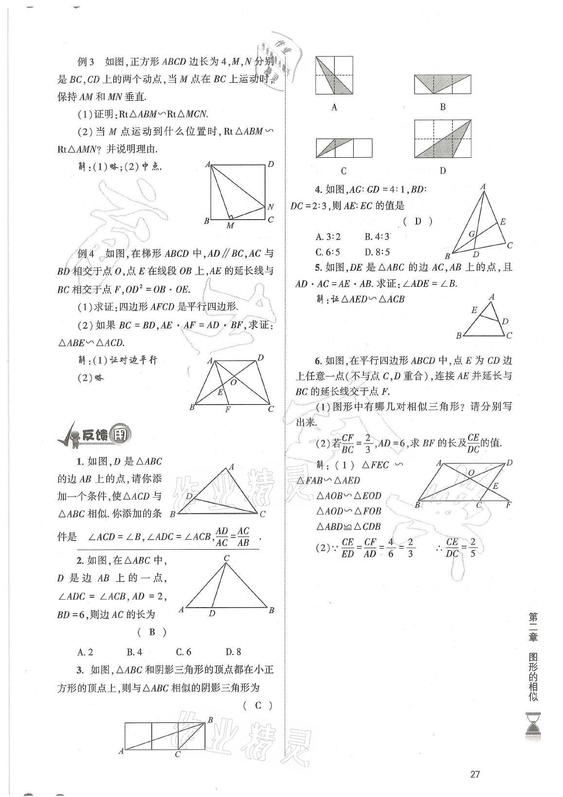 2021年育才金典九年级数学全一册北师大版 参考答案第27页