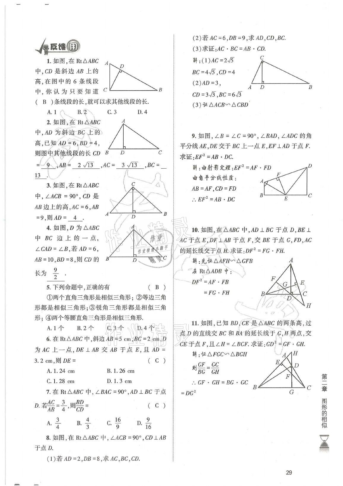 2021年育才金典九年级数学全一册北师大版 参考答案第29页