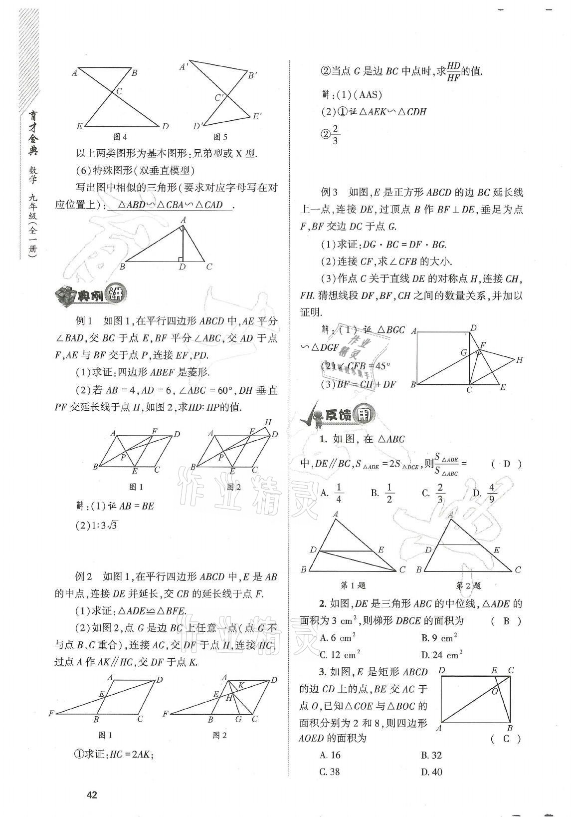 2021年育才金典九年級數(shù)學全一冊北師大版 參考答案第42頁