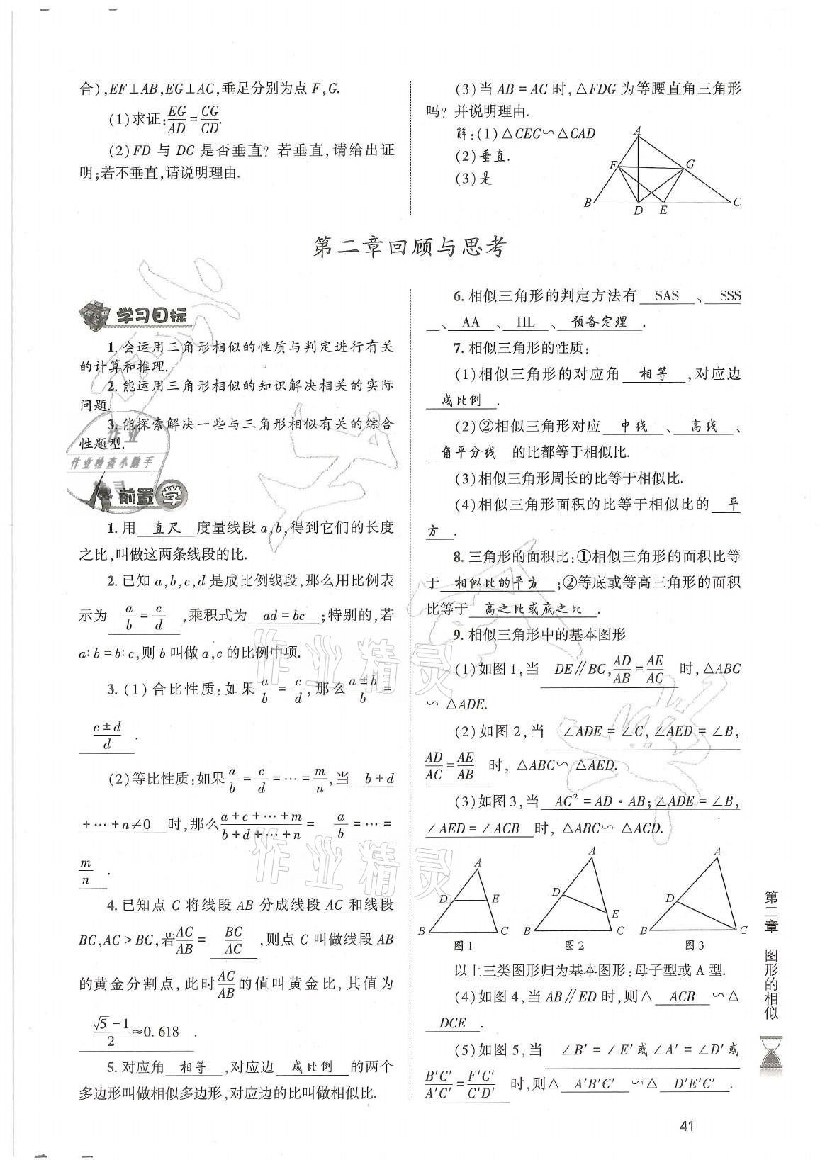 2021年育才金典九年級數(shù)學(xué)全一冊北師大版 參考答案第41頁