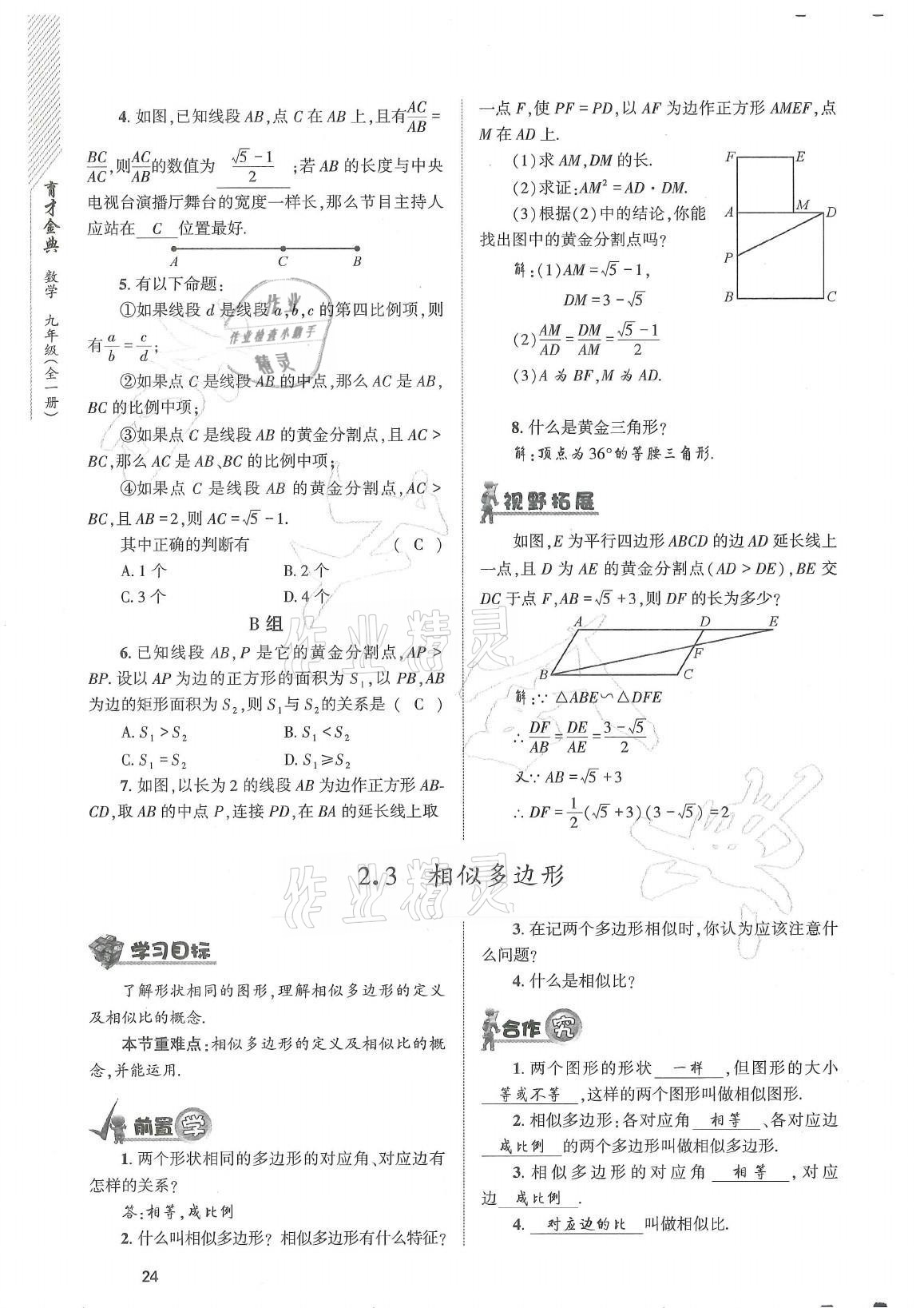 2021年育才金典九年级数学全一册北师大版 参考答案第24页