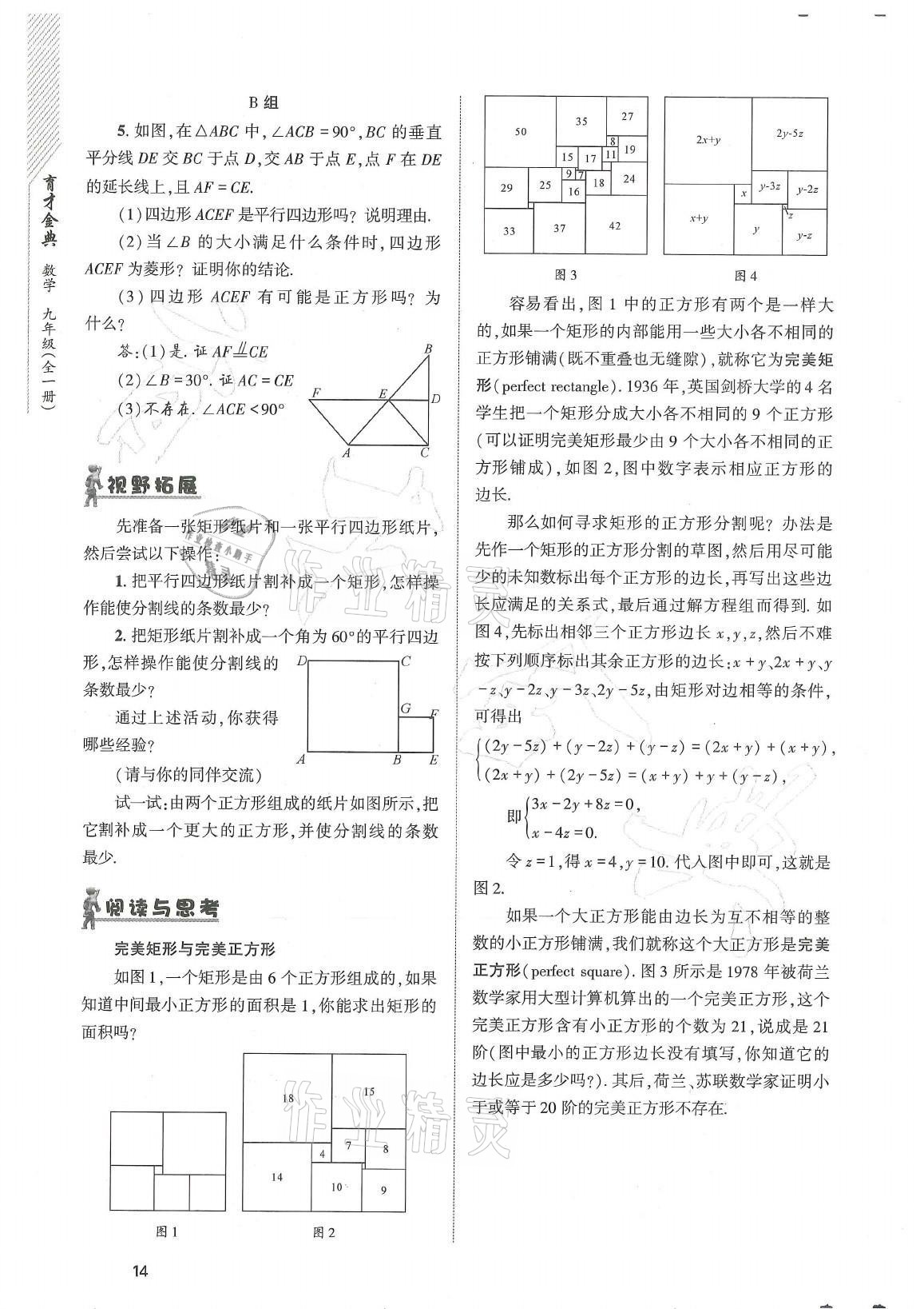 2021年育才金典九年级数学全一册北师大版 参考答案第14页