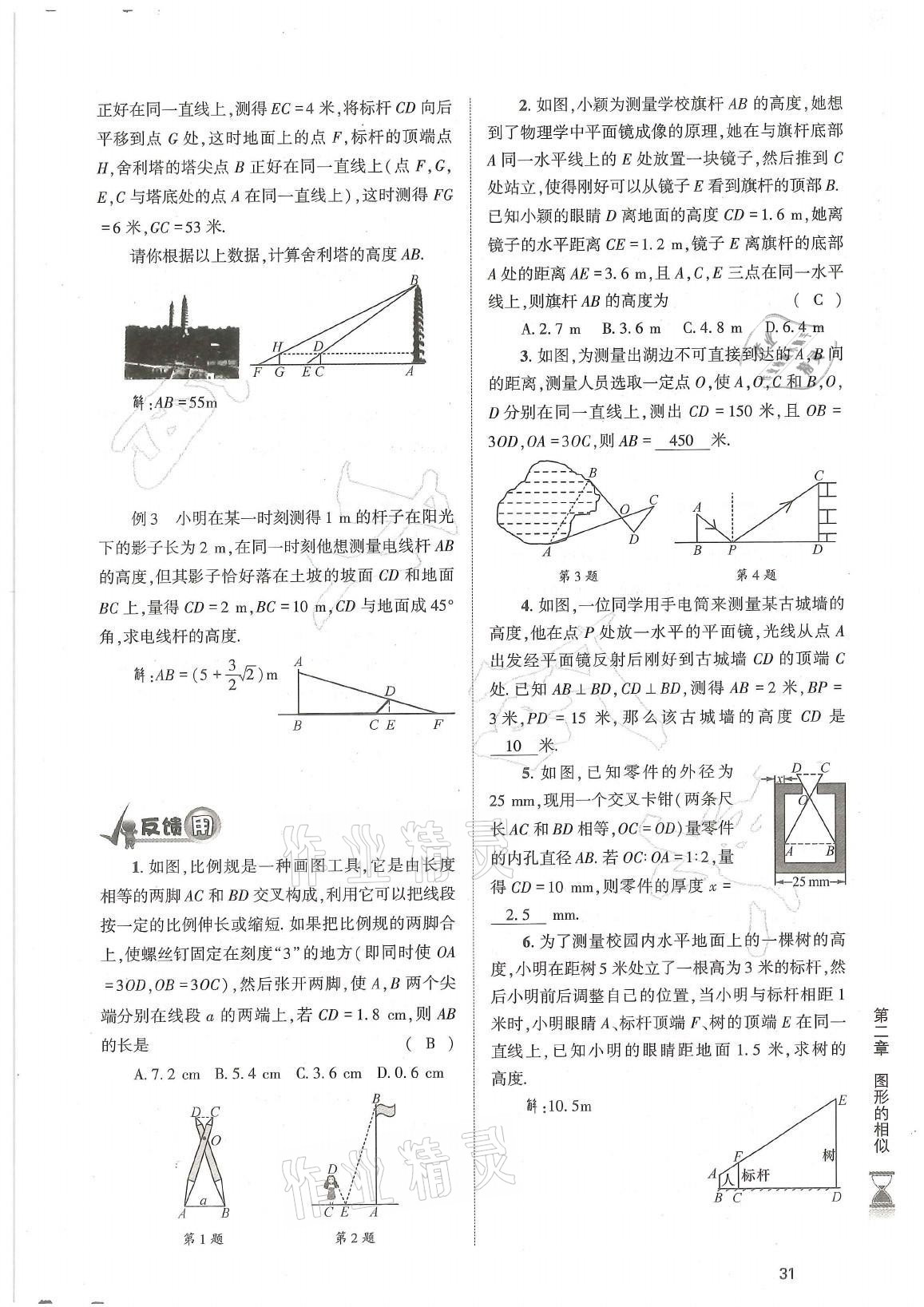 2021年育才金典九年级数学全一册北师大版 参考答案第31页