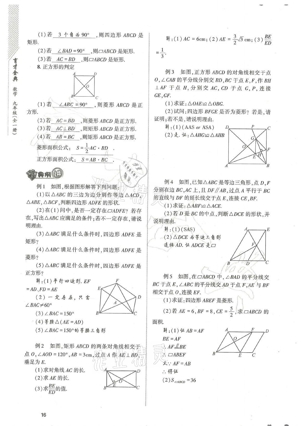 2021年育才金典九年級數(shù)學全一冊北師大版 參考答案第16頁