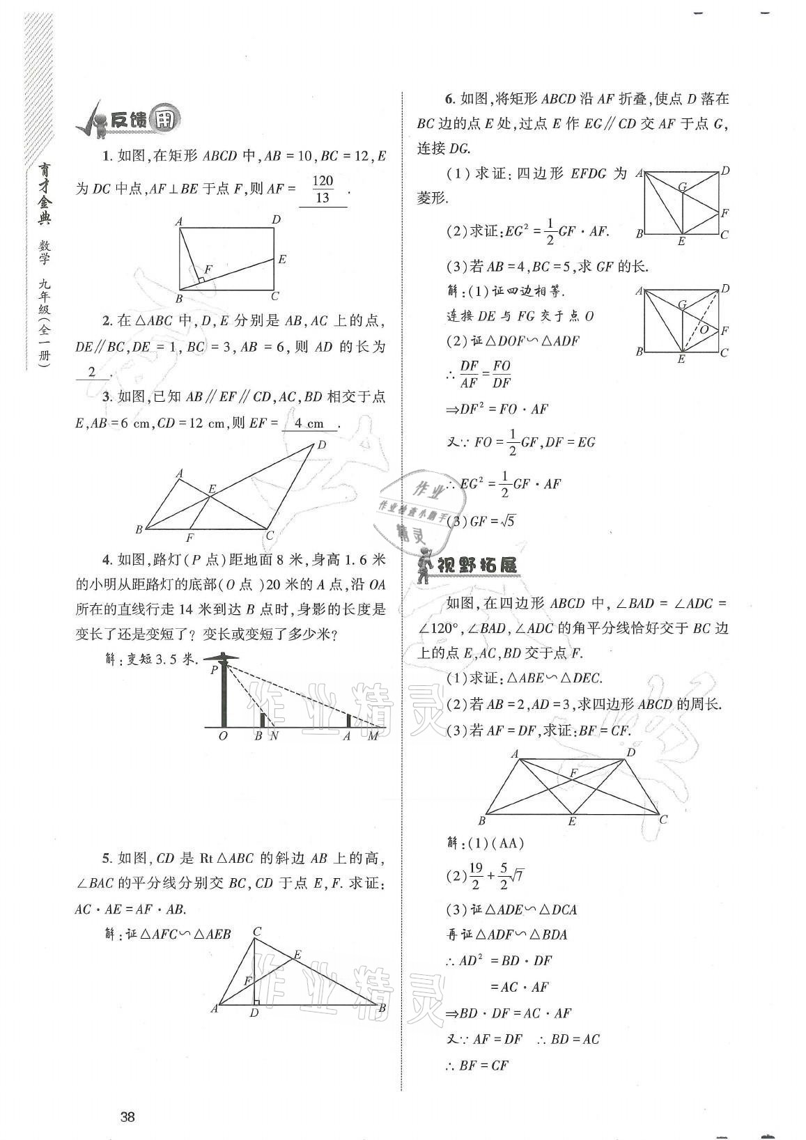 2021年育才金典九年級數(shù)學(xué)全一冊北師大版 參考答案第38頁