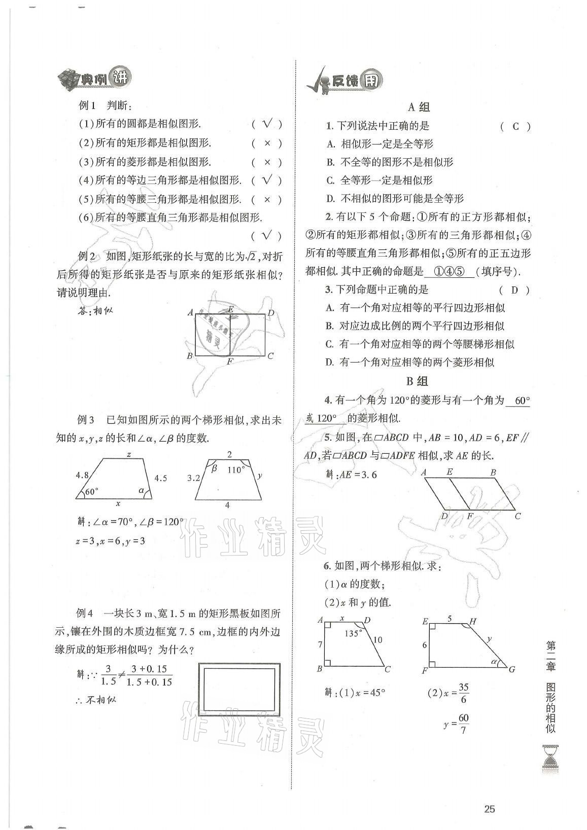 2021年育才金典九年級(jí)數(shù)學(xué)全一冊(cè)北師大版 參考答案第25頁(yè)