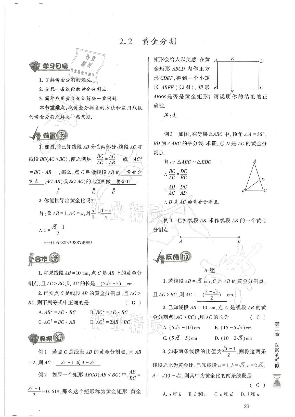 2021年育才金典九年级数学全一册北师大版 参考答案第23页