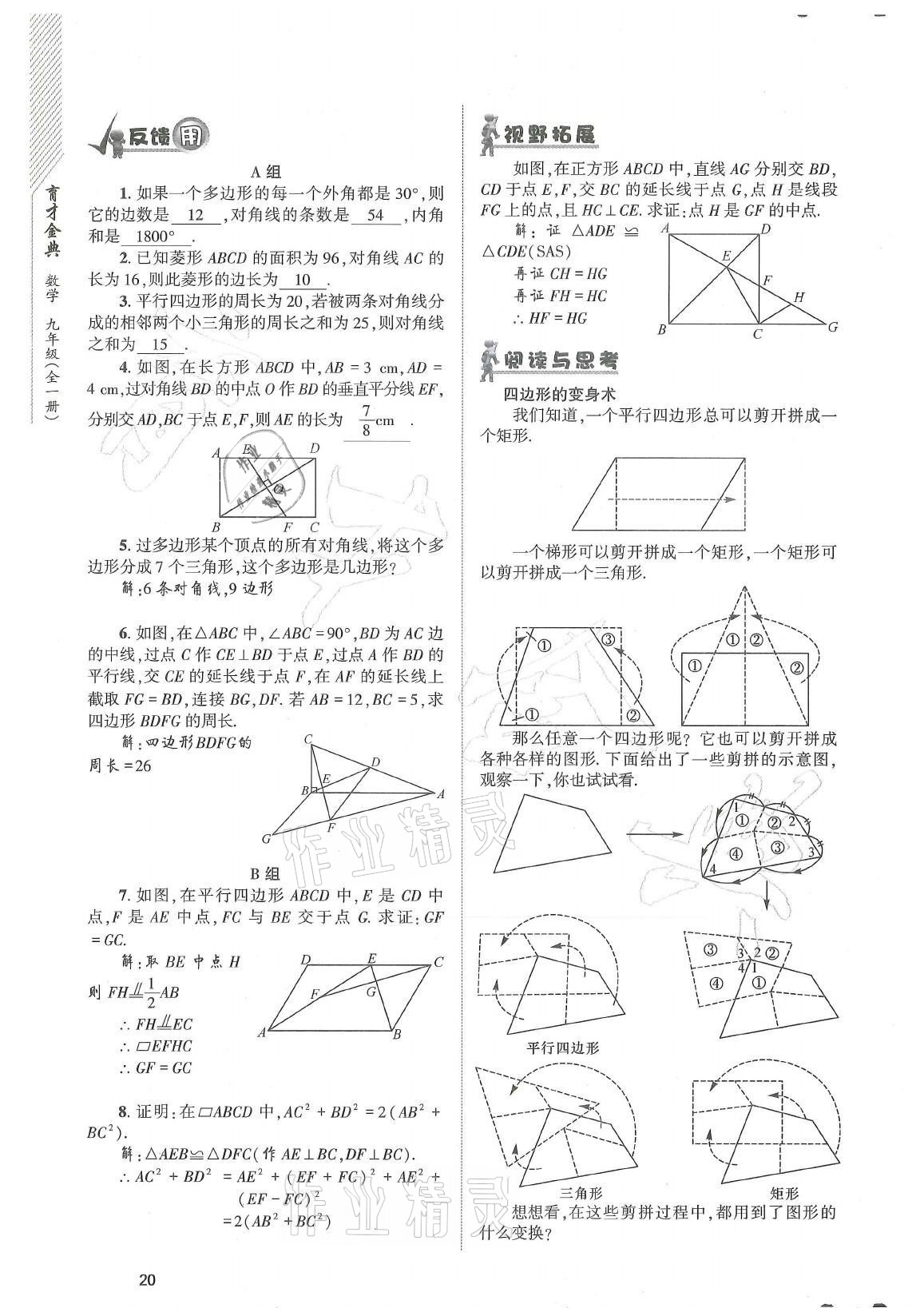 2021年育才金典九年級(jí)數(shù)學(xué)全一冊(cè)北師大版 參考答案第20頁(yè)