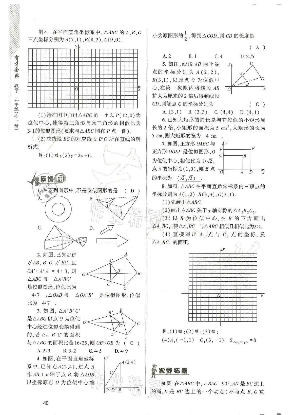 2021年育才金典九年級數(shù)學全一冊北師大版 參考答案第40頁