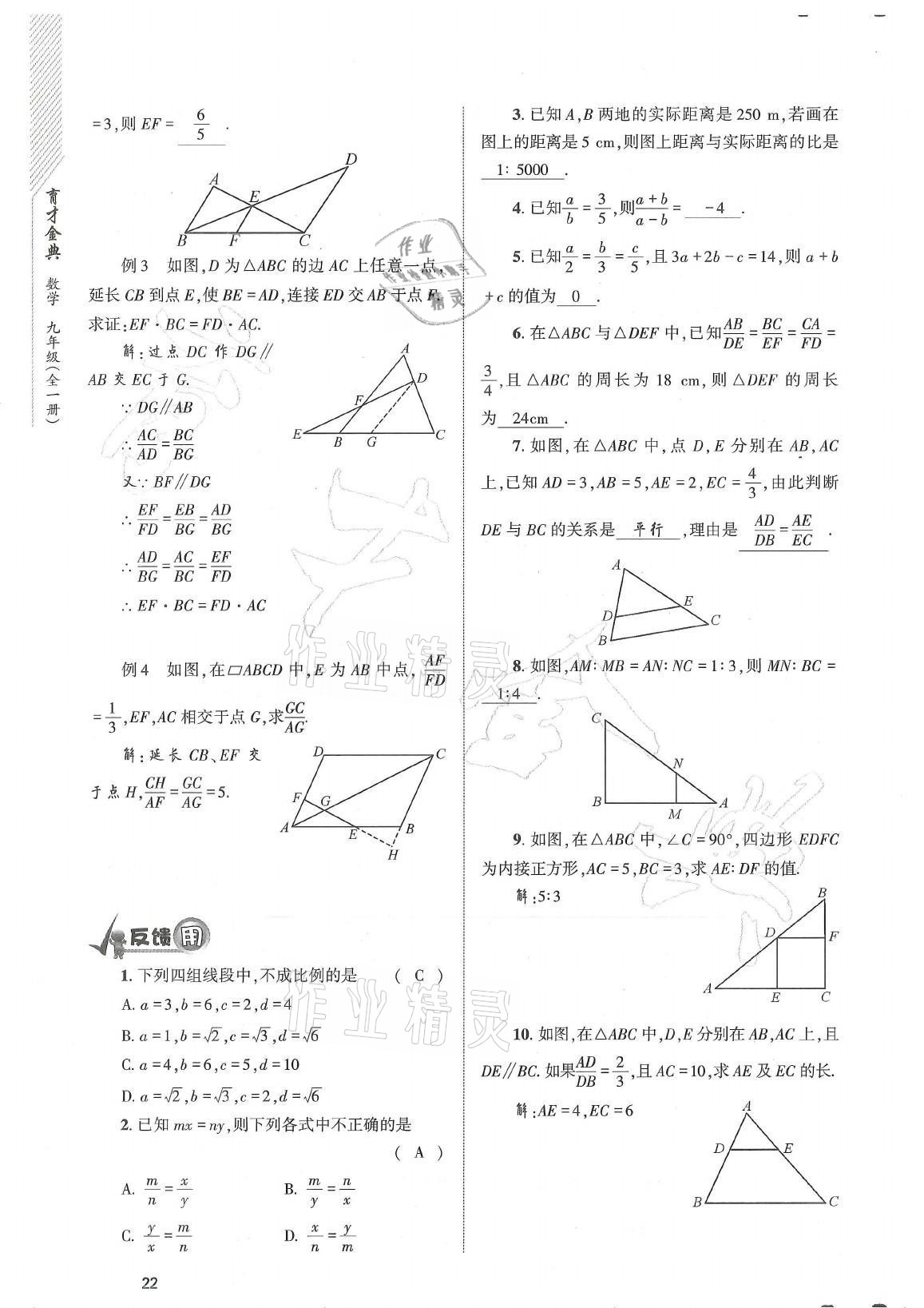 2021年育才金典九年級數(shù)學(xué)全一冊北師大版 參考答案第22頁