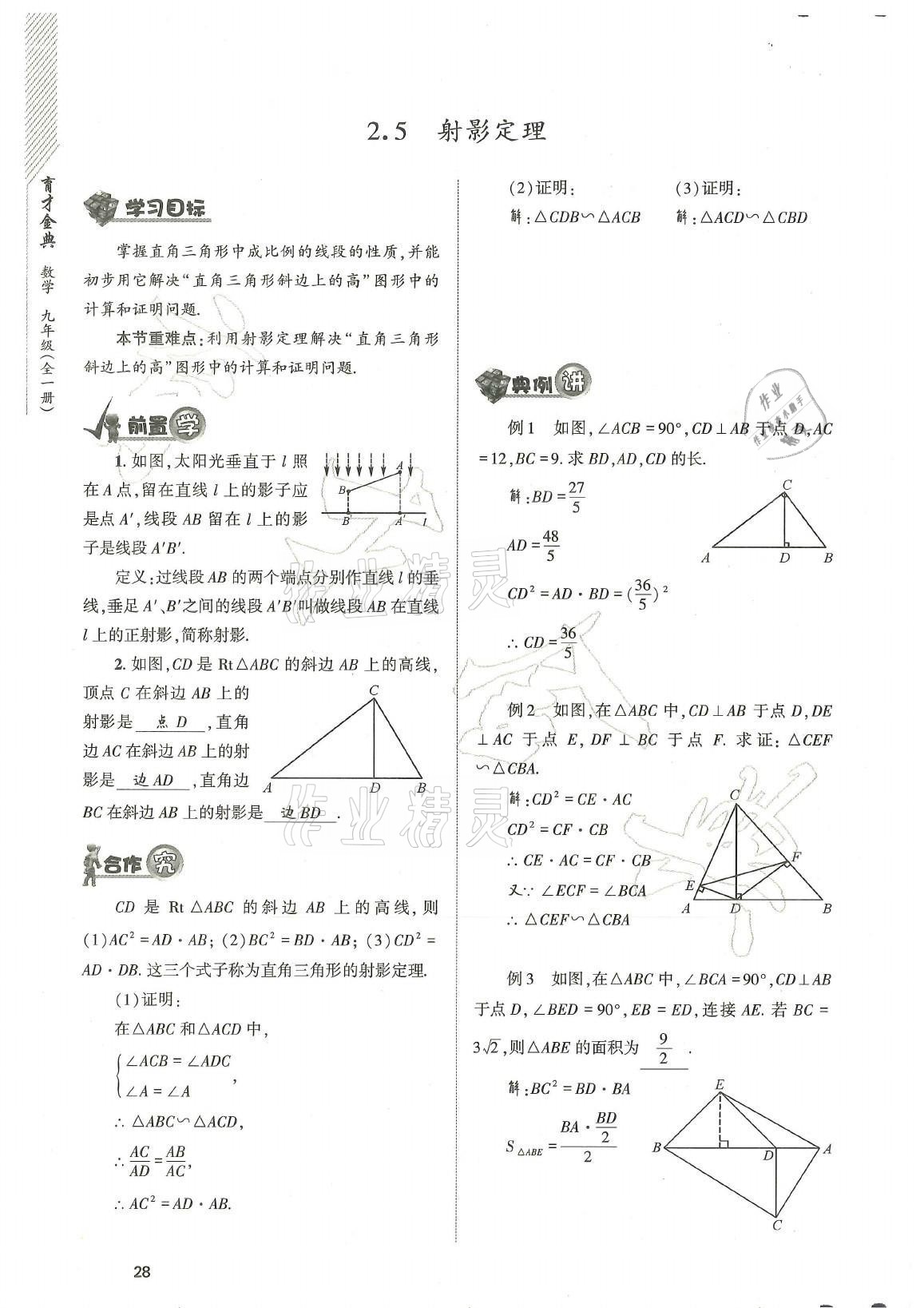 2021年育才金典九年級(jí)數(shù)學(xué)全一冊(cè)北師大版 參考答案第28頁