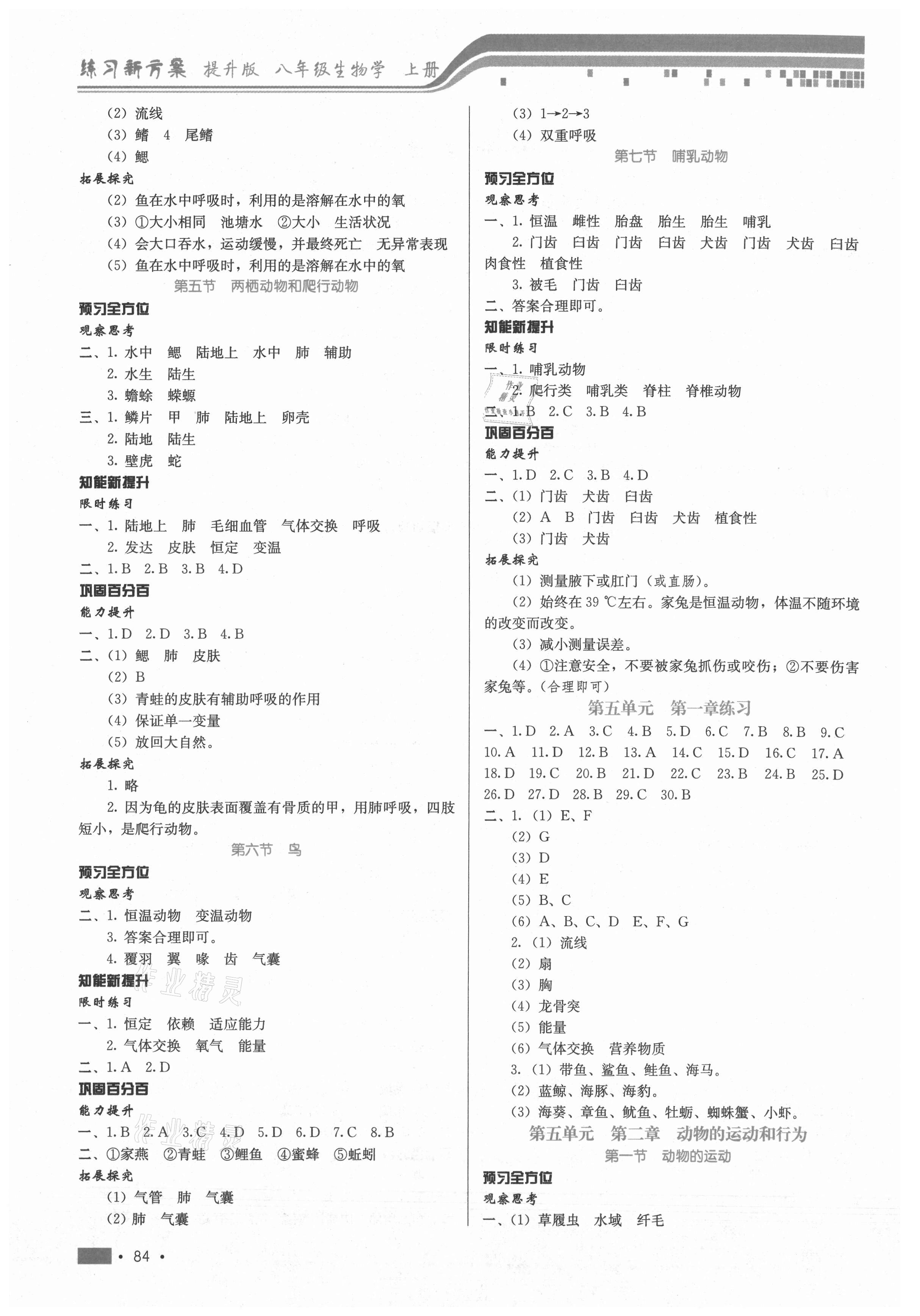 2021年练习新方案八年级生物上册通用版提升版 第2页