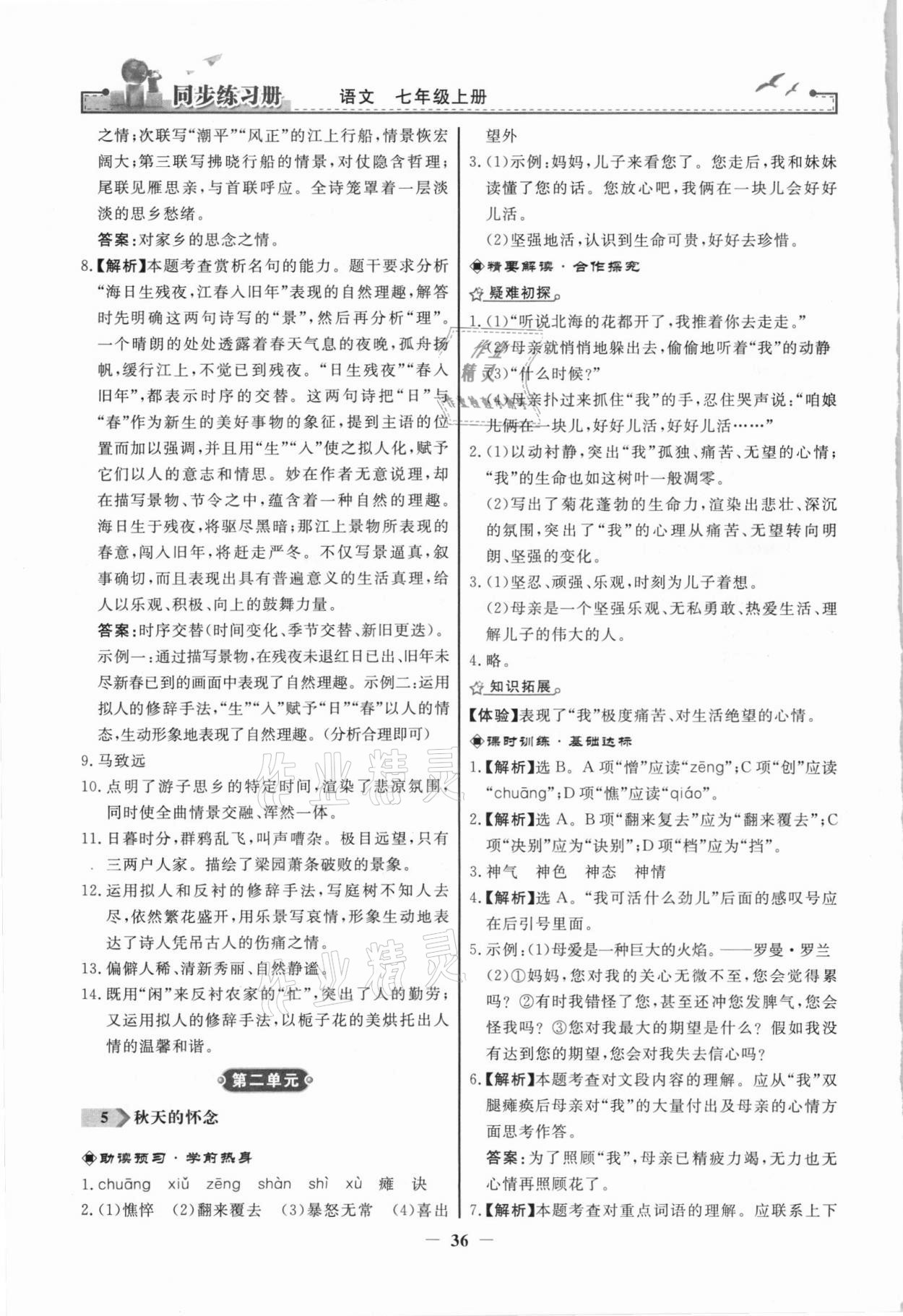 2021年同步練習(xí)冊七年級語文上冊人教版江蘇專版人民教育出版社 第4頁