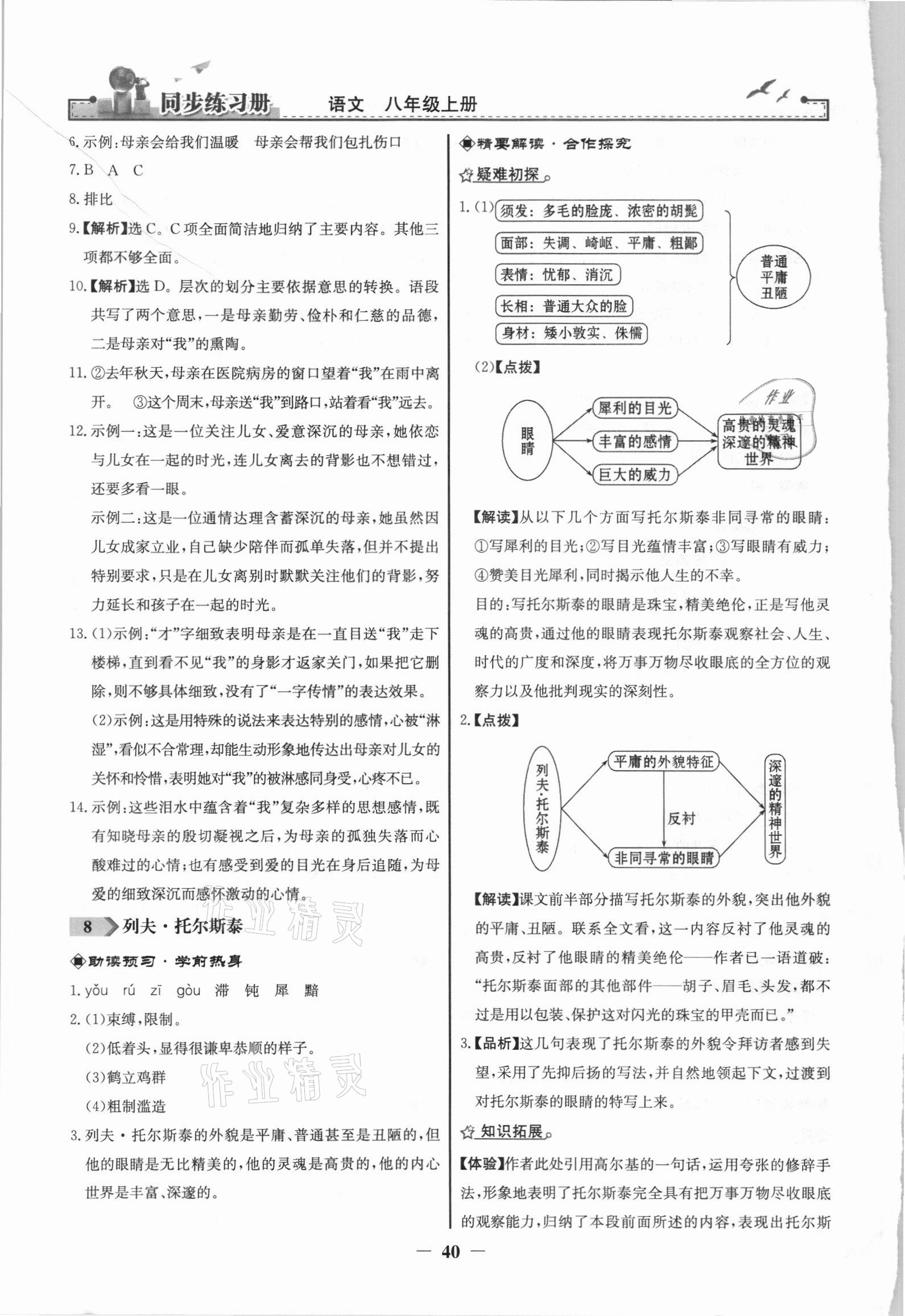 2021年同步练习册八年级语文上册人教版江苏专用人民教育出版社 第8页