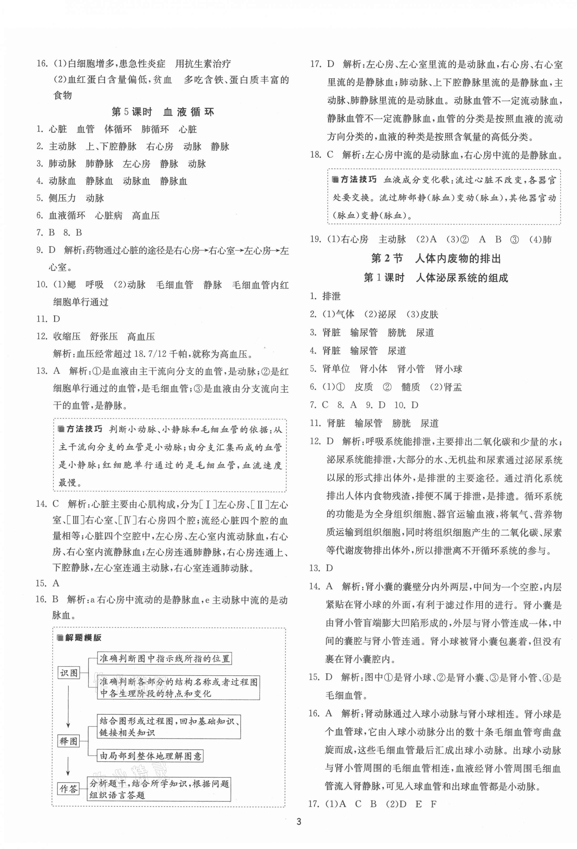 2021年1课3练单元达标测试八年级生物上册苏科版 第3页