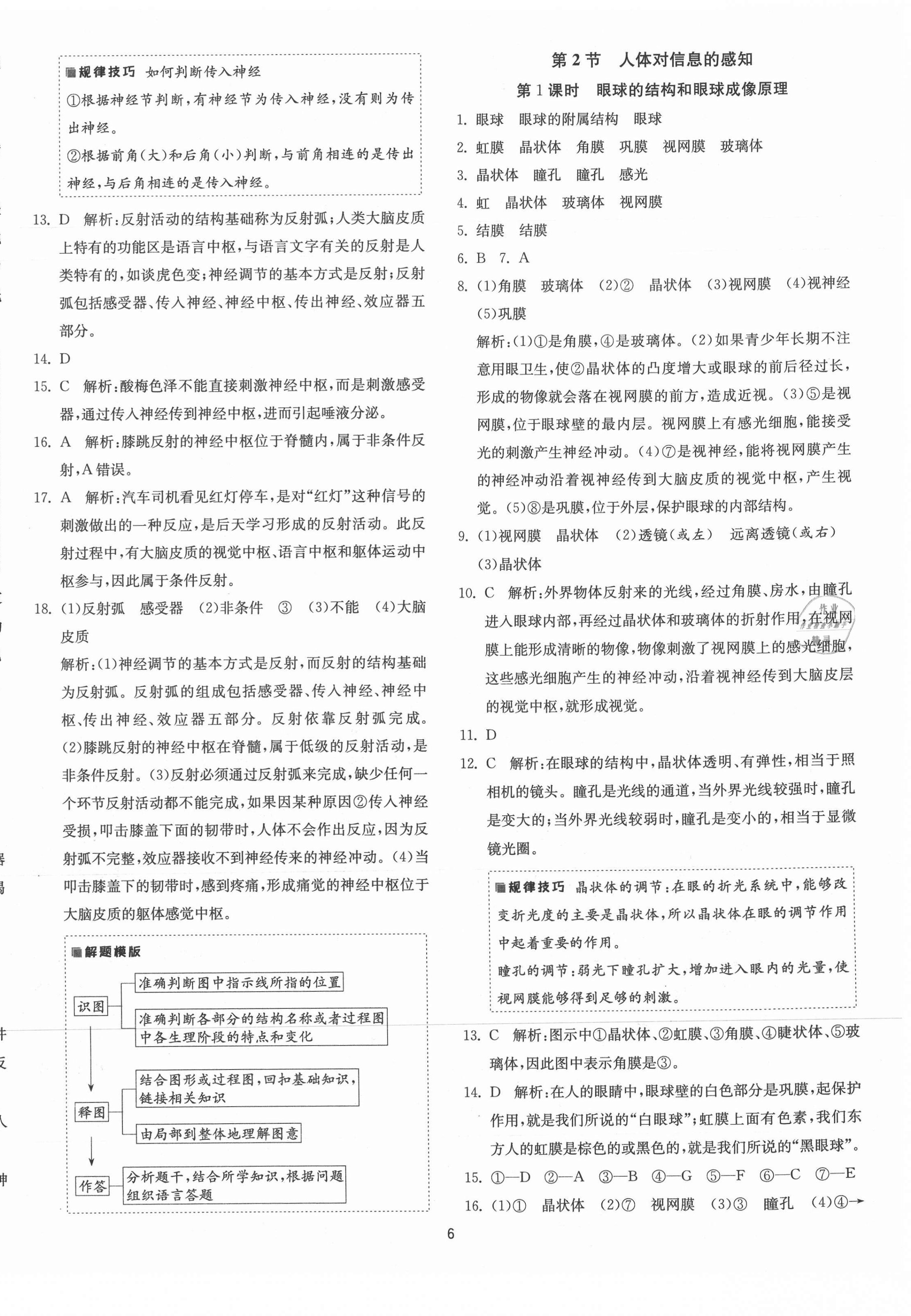 2021年1课3练单元达标测试八年级生物上册苏科版 第6页