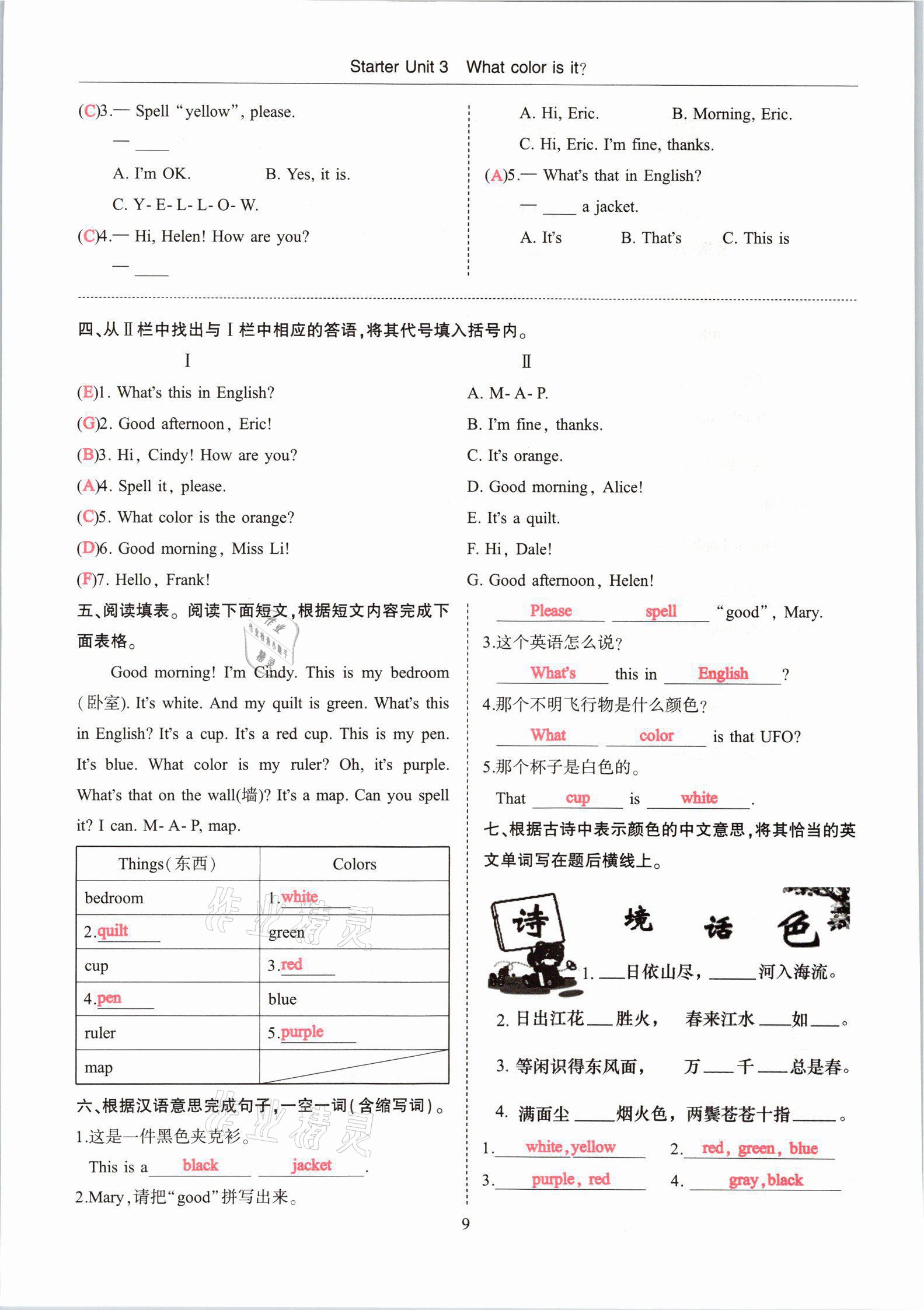 2021年指南針高分必備七年級英語上冊人教版 參考答案第13頁