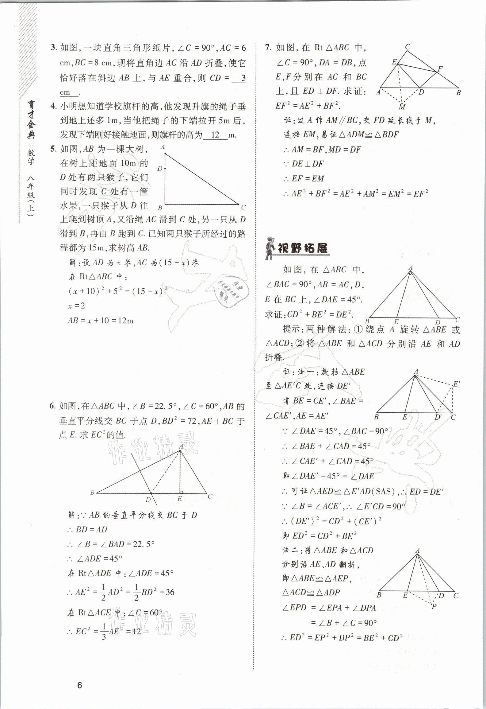 2021年育才金典八年級數(shù)學上冊北師大版 參考答案第6頁