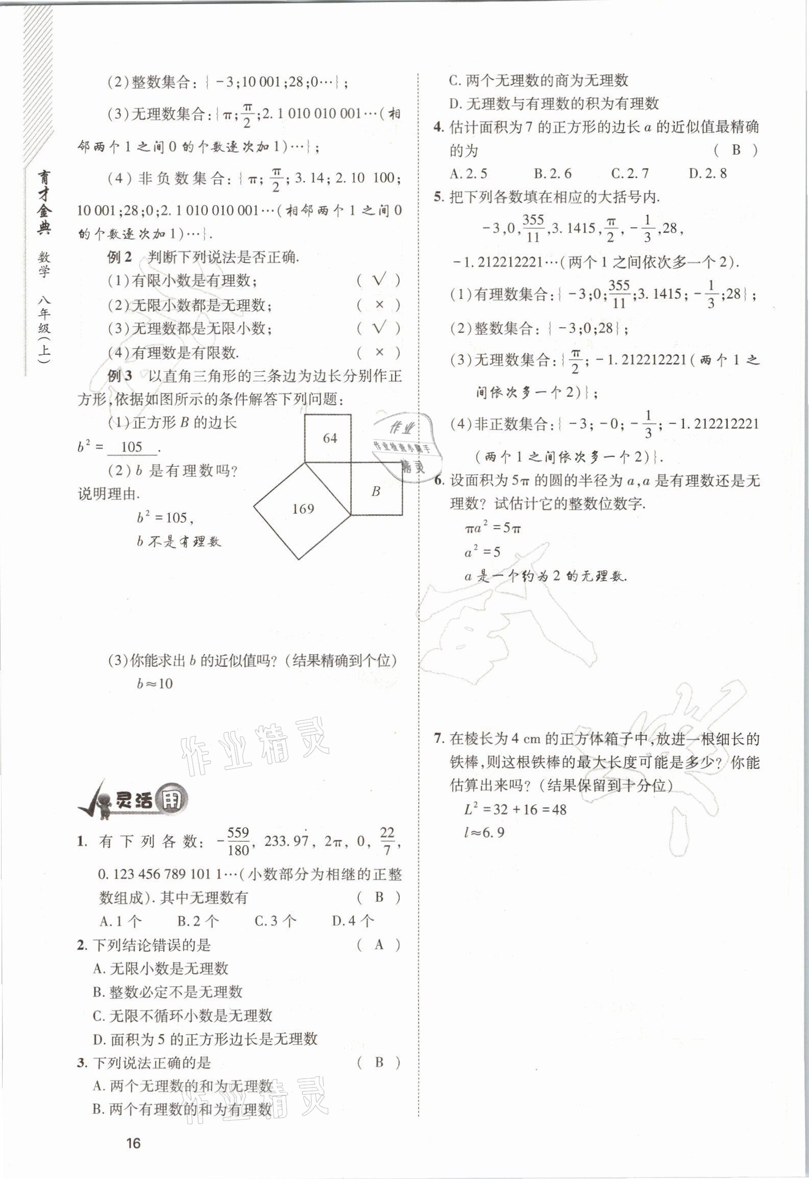 2021年育才金典八年級(jí)數(shù)學(xué)上冊北師大版 參考答案第16頁